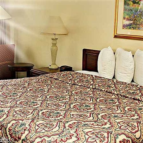 Rodeway Inn Orange Park Extérieur photo